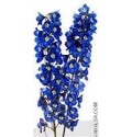 ΔΕΛΦΙΝΙΟΥΜ (ψευτοδελφ.) ΜΠΛΕ  DELPHINIUM  VOLKENFRIEDEN BLUE